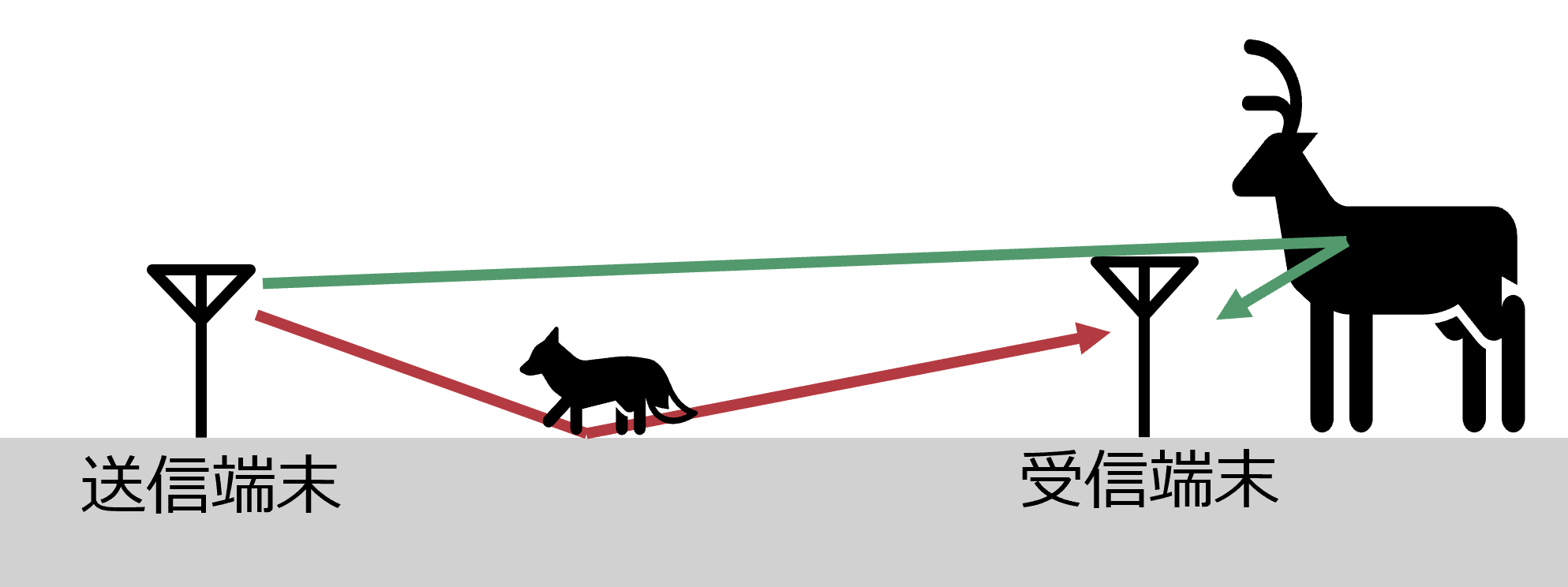 無線センシングを用いた獣流検知